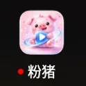 粉猪4K纯净版